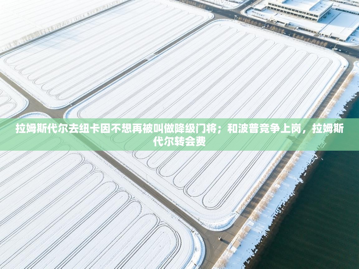 拉姆斯代尔去纽卡因不想再被叫做降级门将;和波普竞争上岗,拉姆斯代尔转会费 第1张