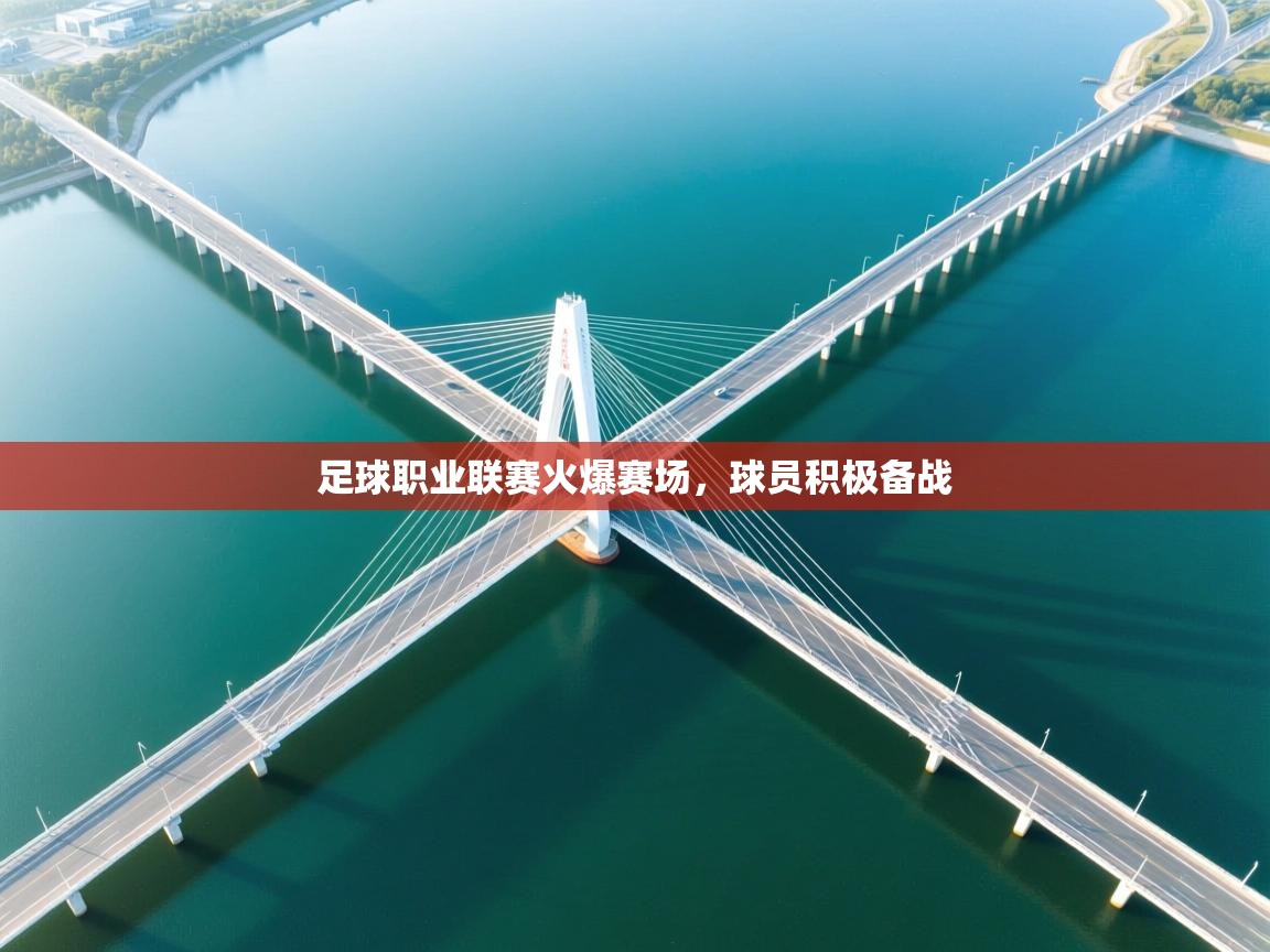 足球职业联赛火爆赛场,球员积极备战 第1张