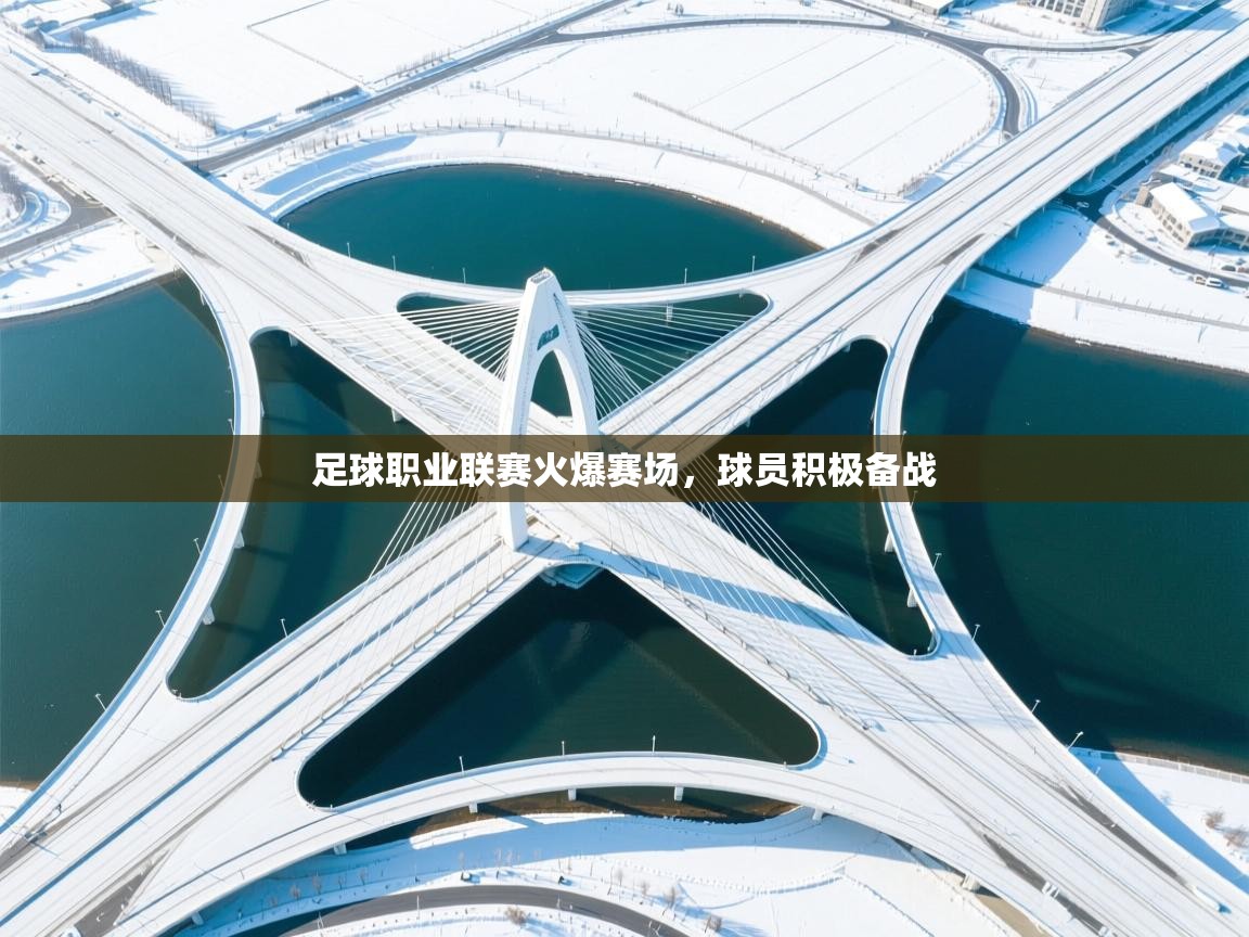 足球职业联赛火爆赛场,球员积极备战 第2张