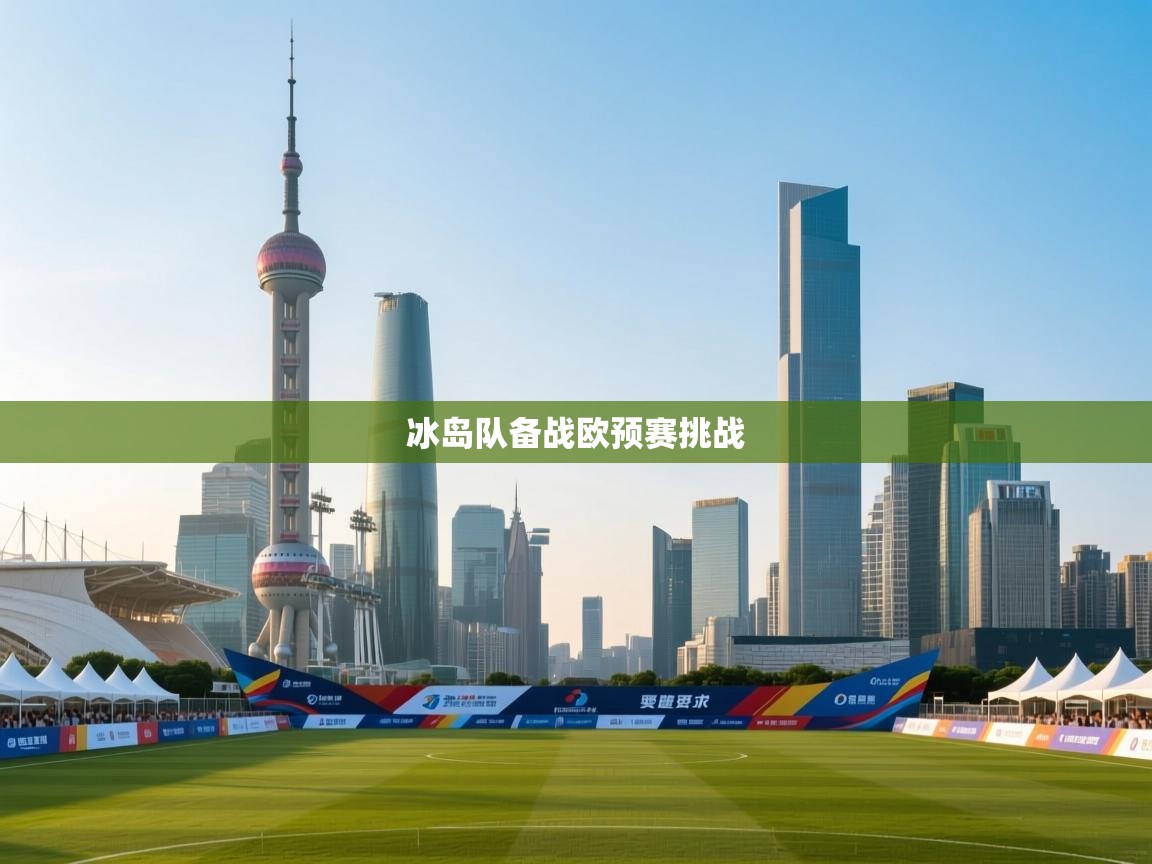 冰岛队备战欧预赛挑战 第1张