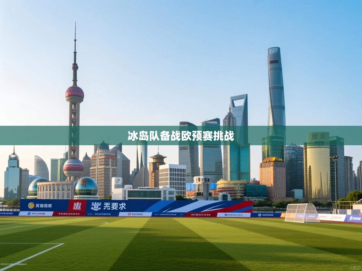 冰岛队备战欧预赛挑战 第2张
